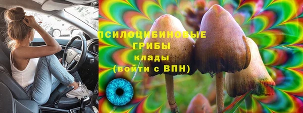 кристаллы Алзамай