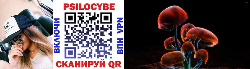 Галлюциногенные грибы прущие грибы  Муром 